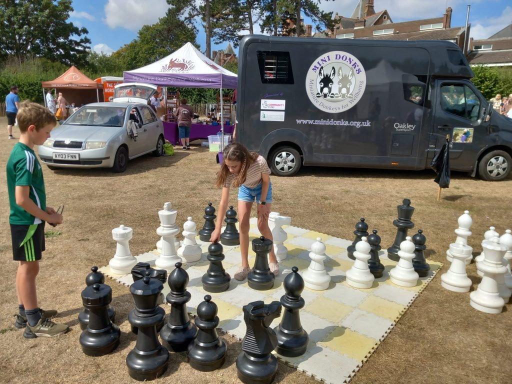 Framlingham_Country_Show_Suffolk_Junior_Chess_2