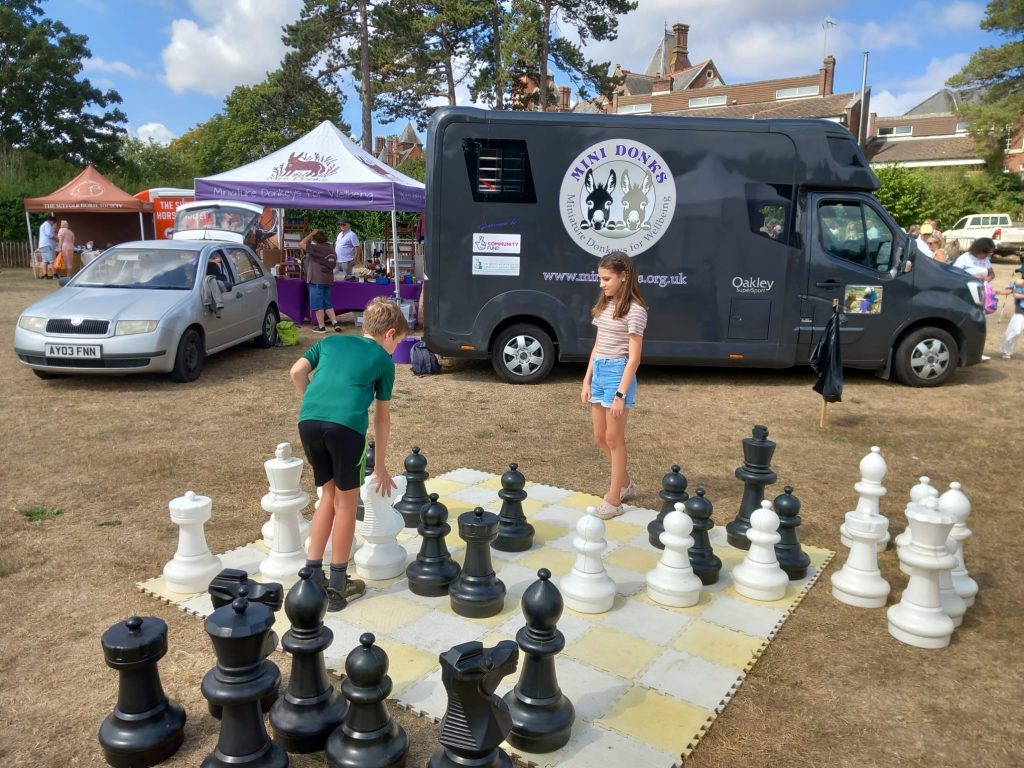 Framlingham_Country_Show_Suffolk_Junior_Chess_3